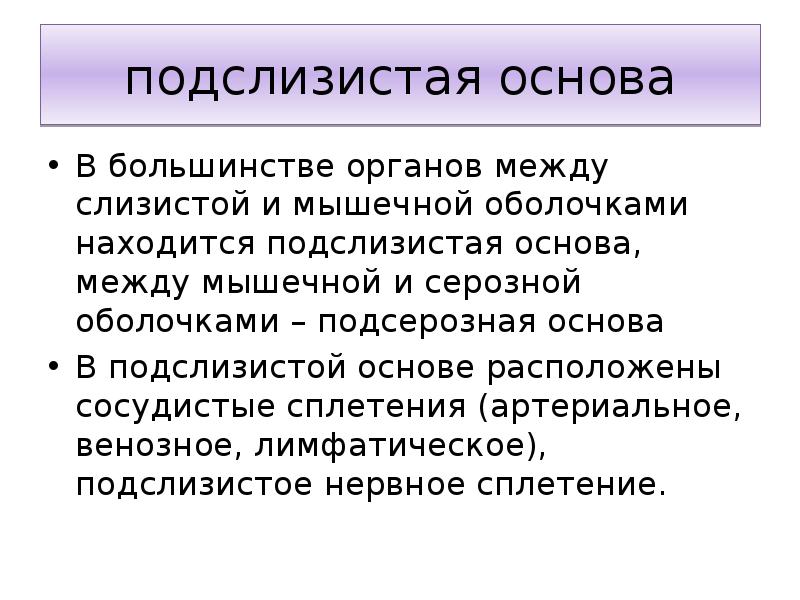 Находится основа. Подслизистая основа. Подсерозная основа. Подслизистая основа языка. Подслизистая основа функции.