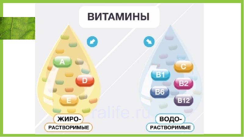 Жиро и водорастворимые витамины. Водорастворимые витамины и жирорастворимые витамины. Схема водорастворимые и жирорастворимые витамины. Витамины растворимые в воде и в жирах.