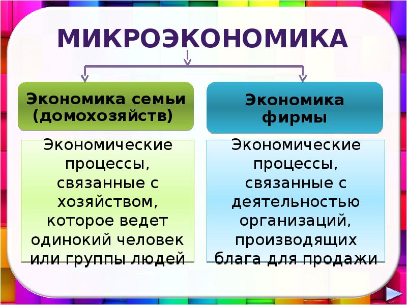 Экономика как наука изучает действие объективных