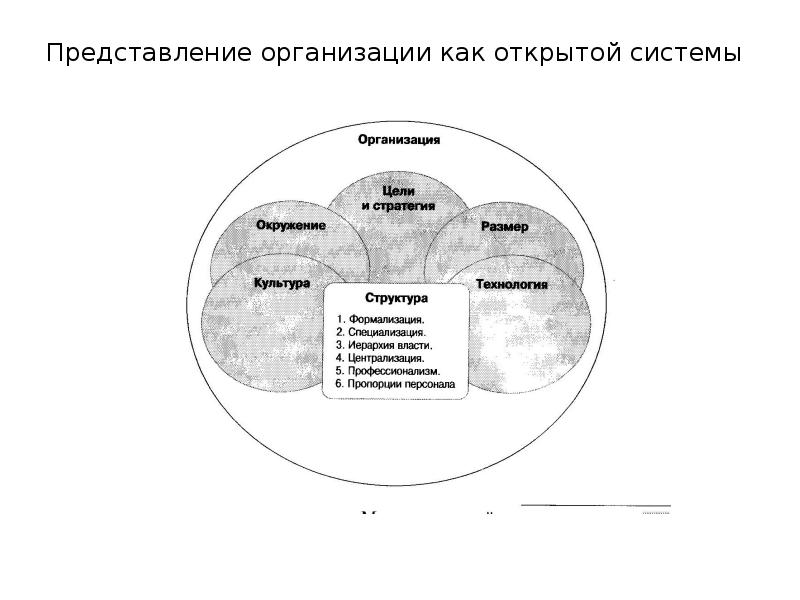 Представление организации как открытой системы