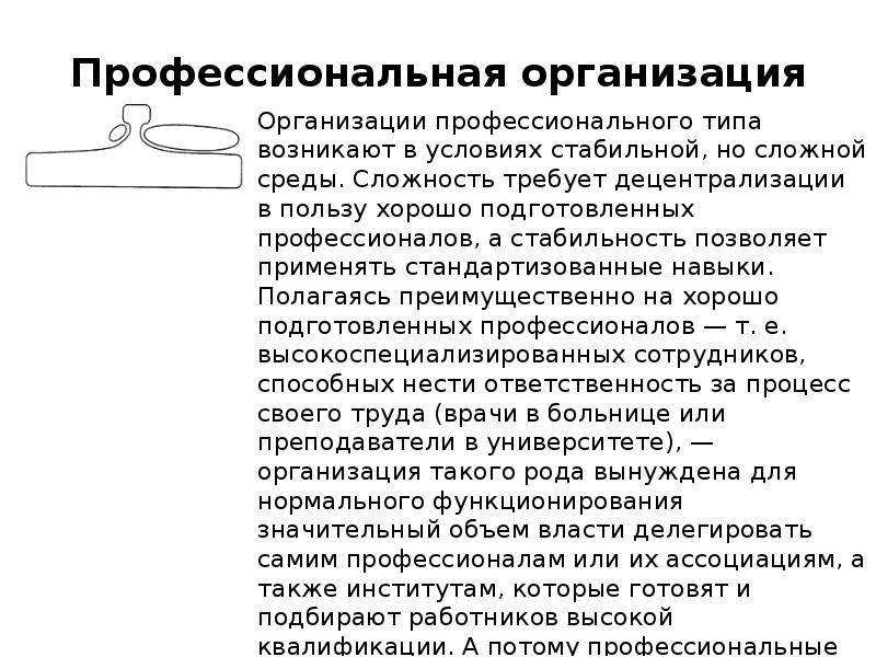 Профессиональная организация