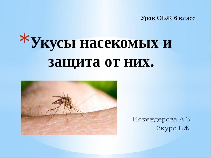 Укусы насекомых рисунок