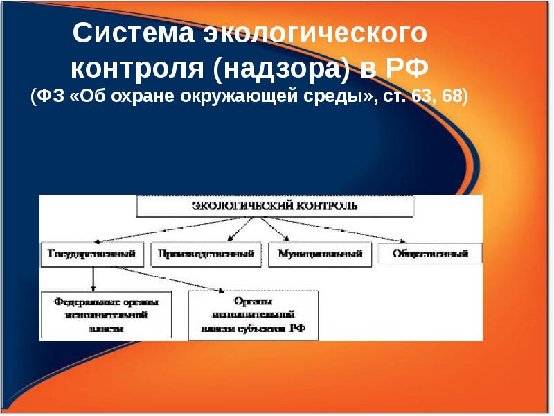 Экологический контроль и мониторинг. Экологический контроль презентация. Система экологического контроля. Система контроля за экологической безопасностью в России.