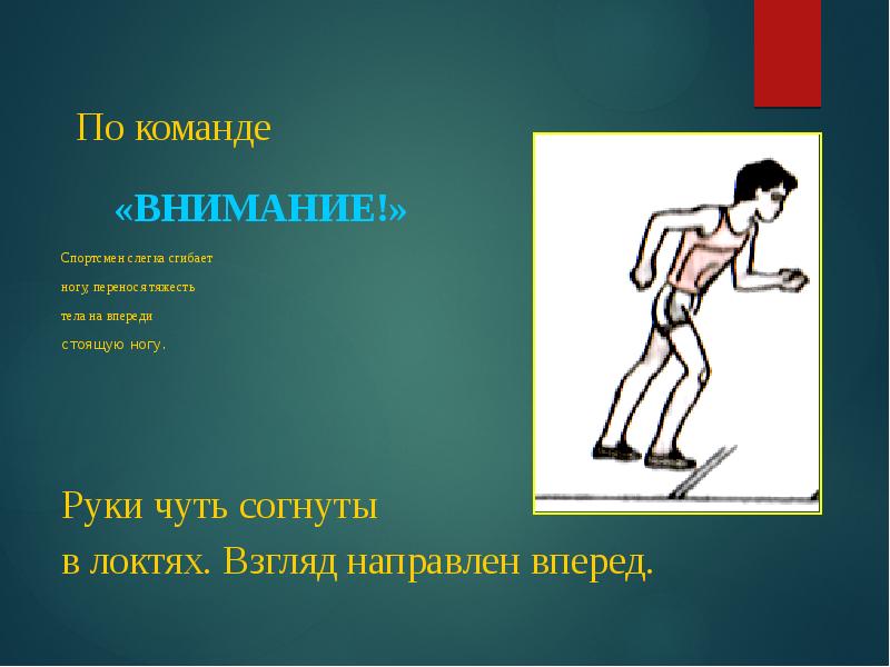 Впереди стоящий. По команде внимание спортсмен слегка сгибает. Внимание спортсмены. По команде внимание слегка согнуть ноги. Финиш на согнутых ногах.