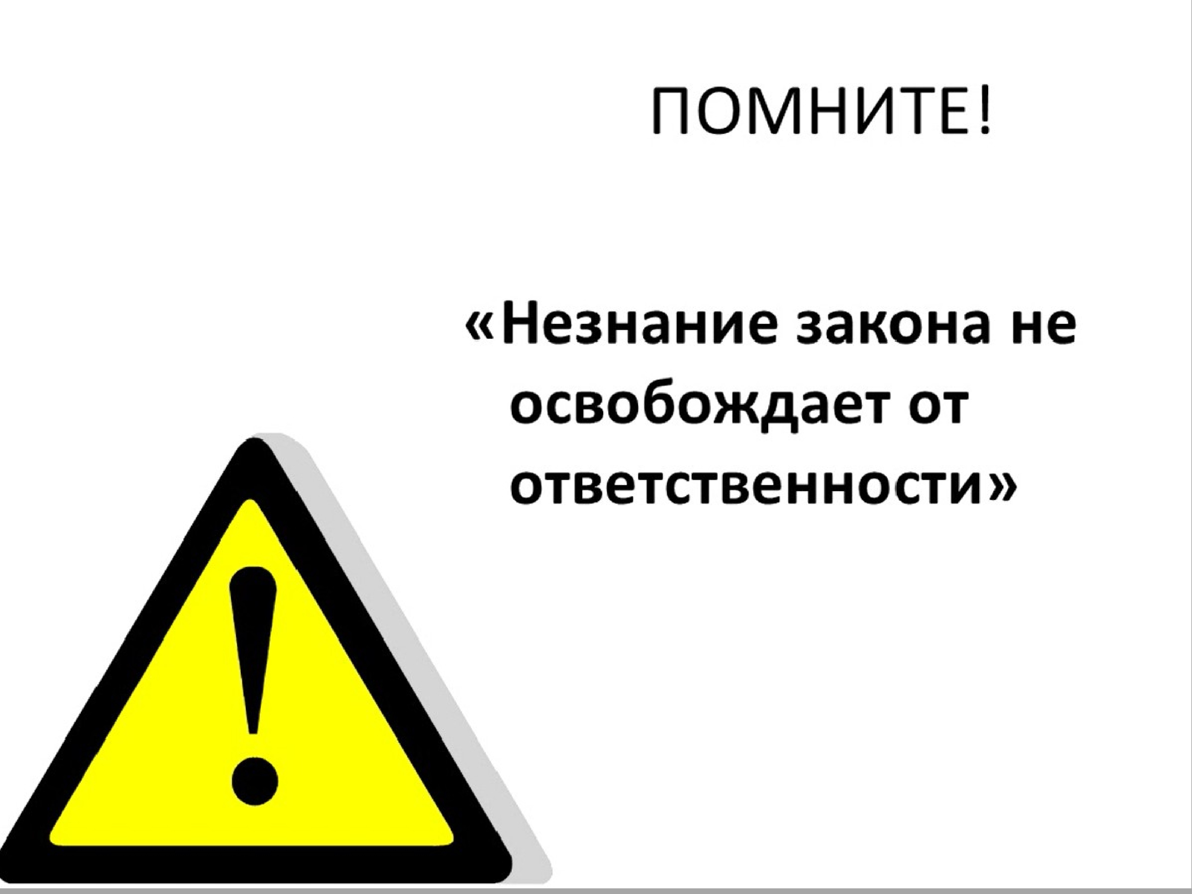 Закон не освобождает от ответственности. Помните незнание закона не освобождает от ответственности. Незнание. Незнание картинка. Незнание правил не освобождает от ответственности.