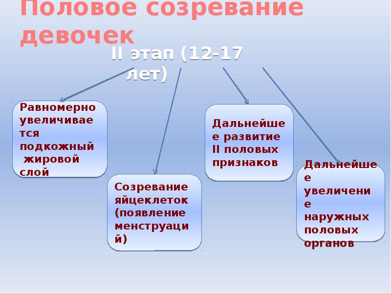 Половое формирование. Этапы полового созревания девочек. Этапы полового развития мальчика.