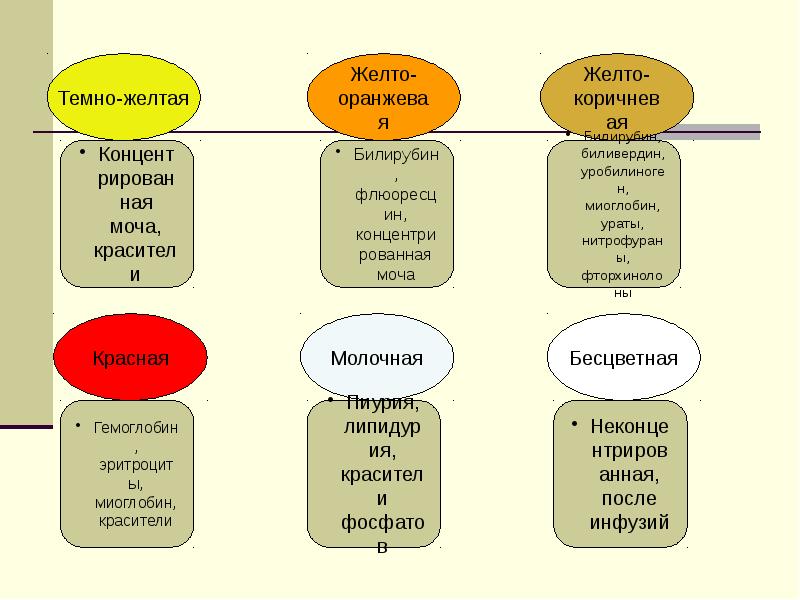 Что такое проект моча