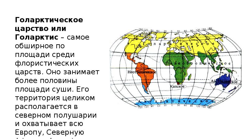 более половины территории занимают