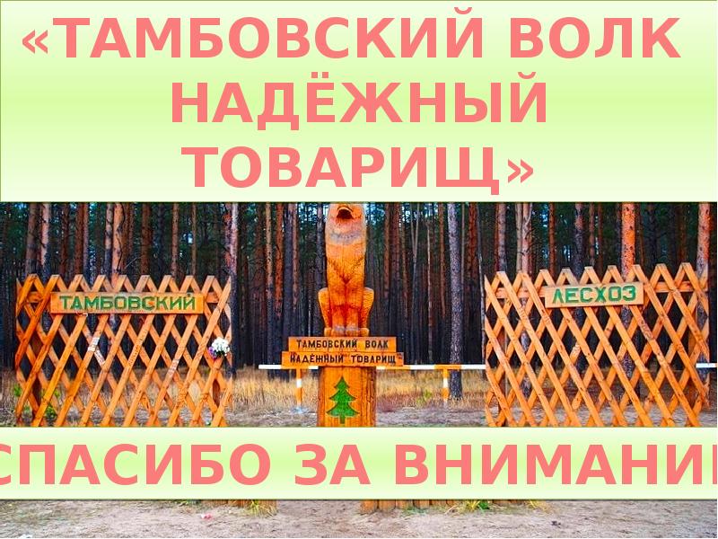 Выражение тамбовский волк. Тамбовский волк. Тамбовский волк товарищ. Выражение Тамбовский волк тебе товарищ. Тамбовский волк надежный товарищ.