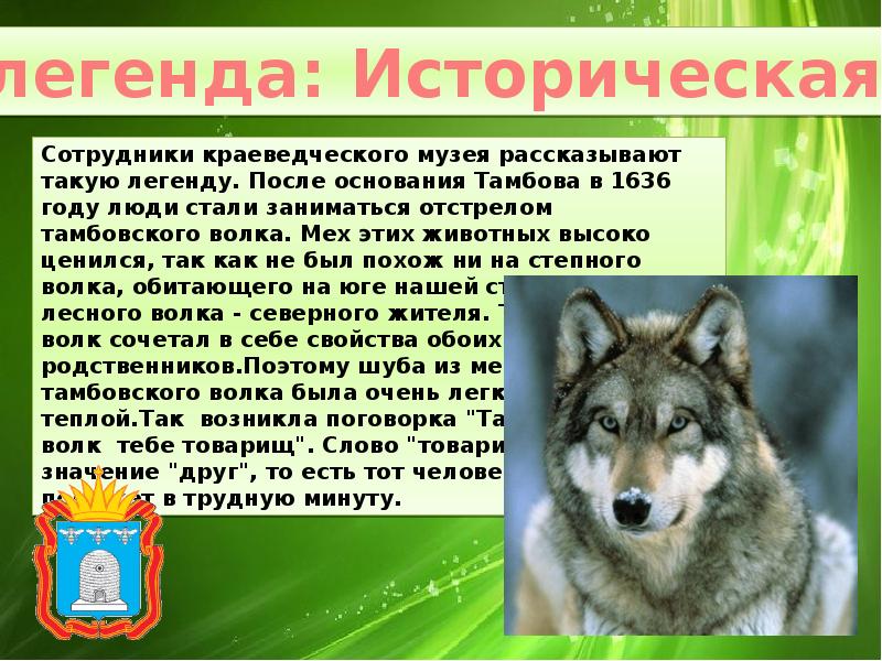 Выражение тамбовский волк. Легенда о волках. Легенда о Тамбовском волке. Легенда о волках рассказ. Легенда происхождения волка.