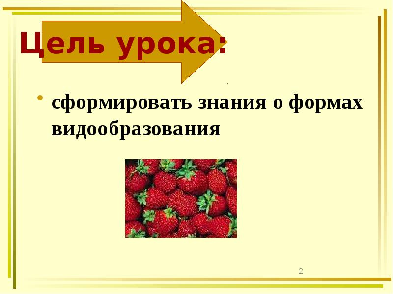 сформировать знания о формах видообразования
сформировать знания о формах видообразования сформировать знания о формах видообразования
сформировать знания о формах видообразования