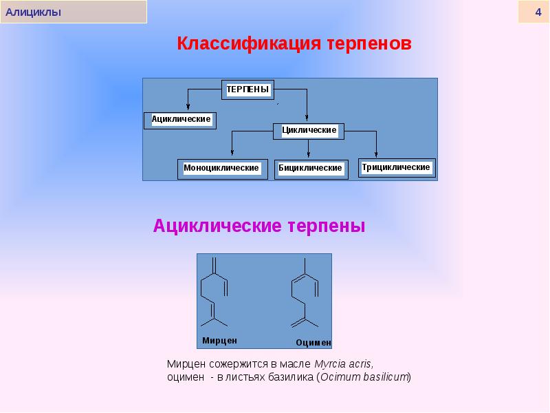 Процесс 11