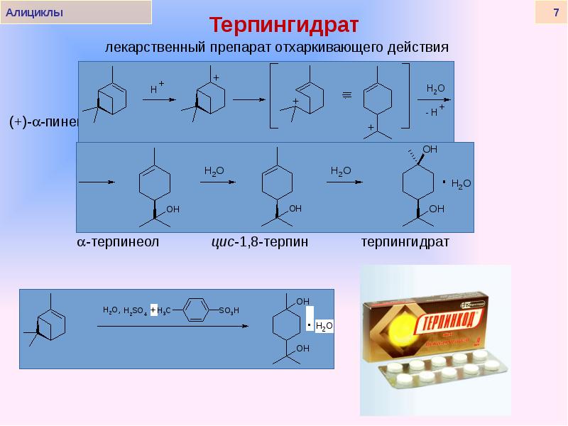 Презентация на тему терпены