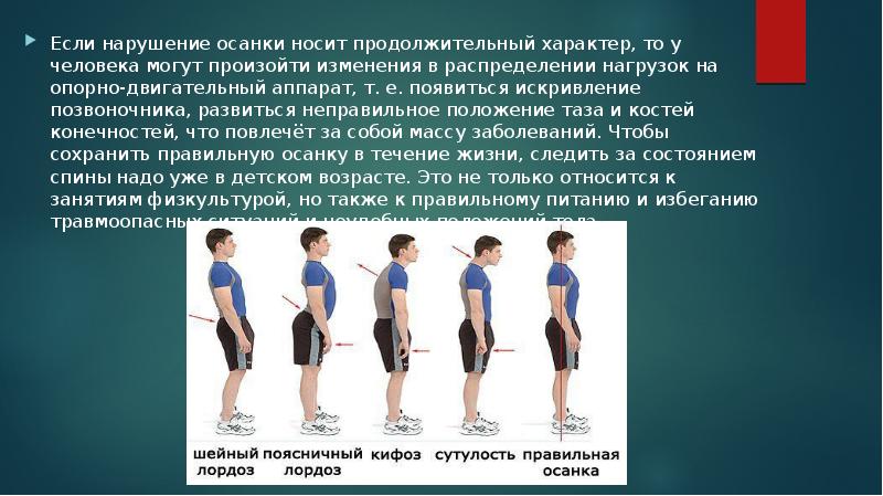 Презентация на тему мышцы спины thumbnail
