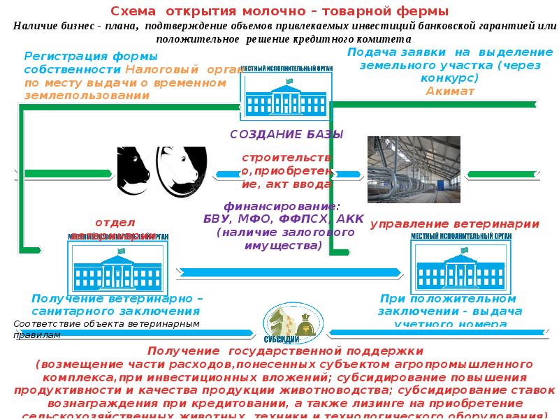 Бизнес план открытия молочной фермы