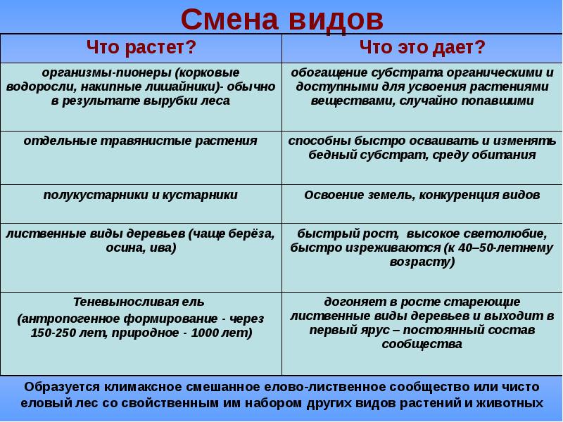 Сукцессия презентация 11 класс