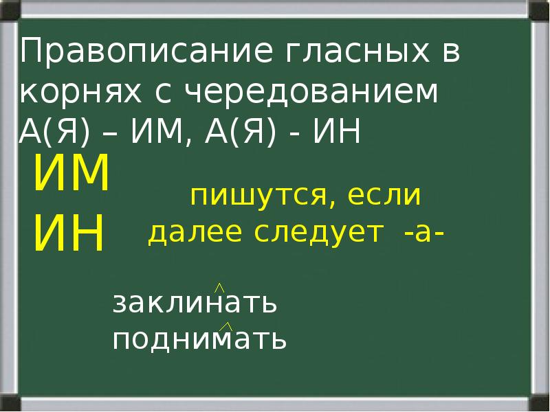 Правописания гласных в корне слова презентация. Правописание корней с чередованием им/ин с а/я. Правописание им ин. Корни с чередованием ин я. Правописание корней им ин.