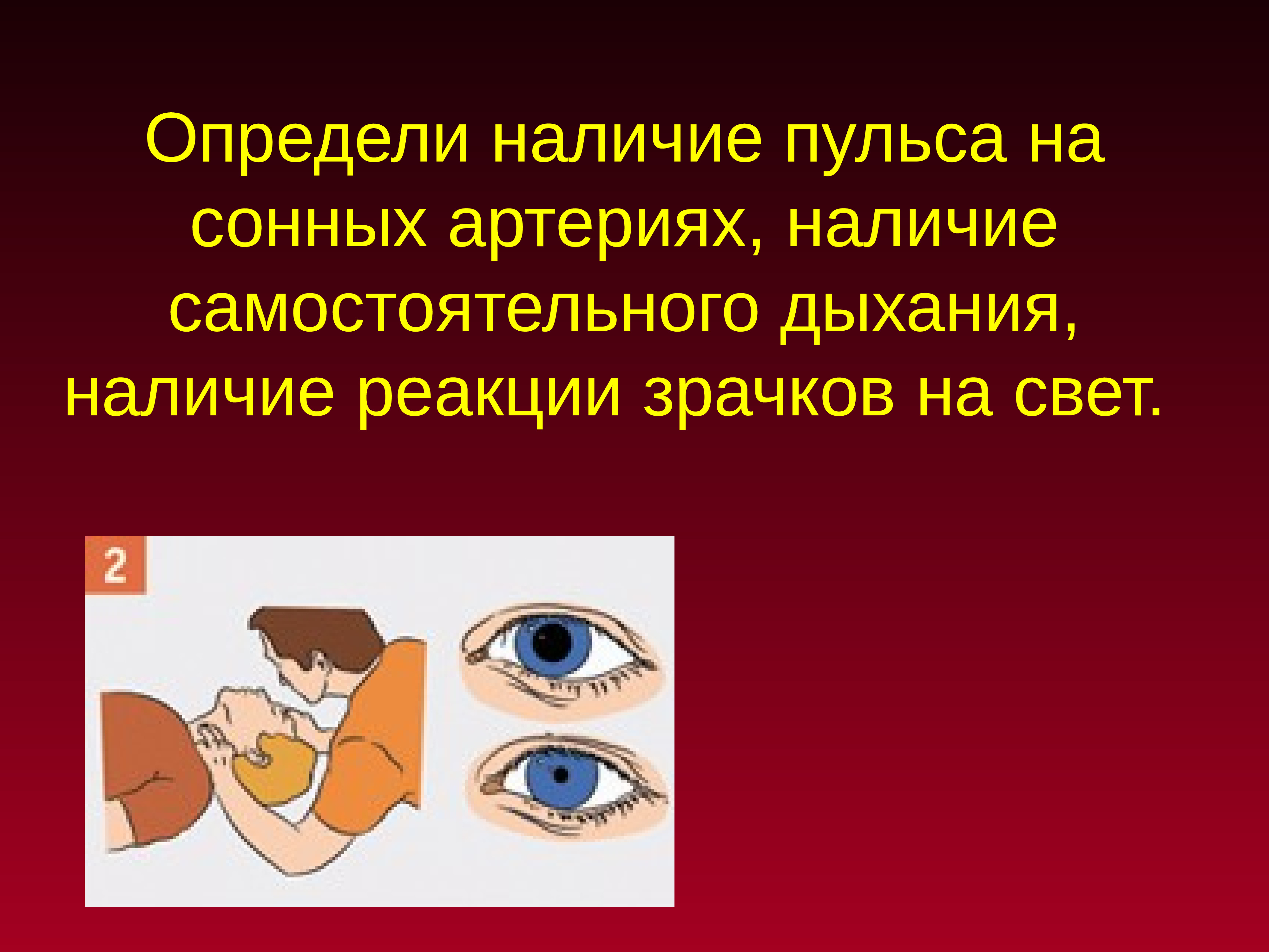 Наличие пульса на сонной артерии. Наличие реакции зрачков на свет. Отсутствие реакции зрачка на свет. Определи наличие пульса реакции зрачков. Реакция зрачка пострадавшего на свет.