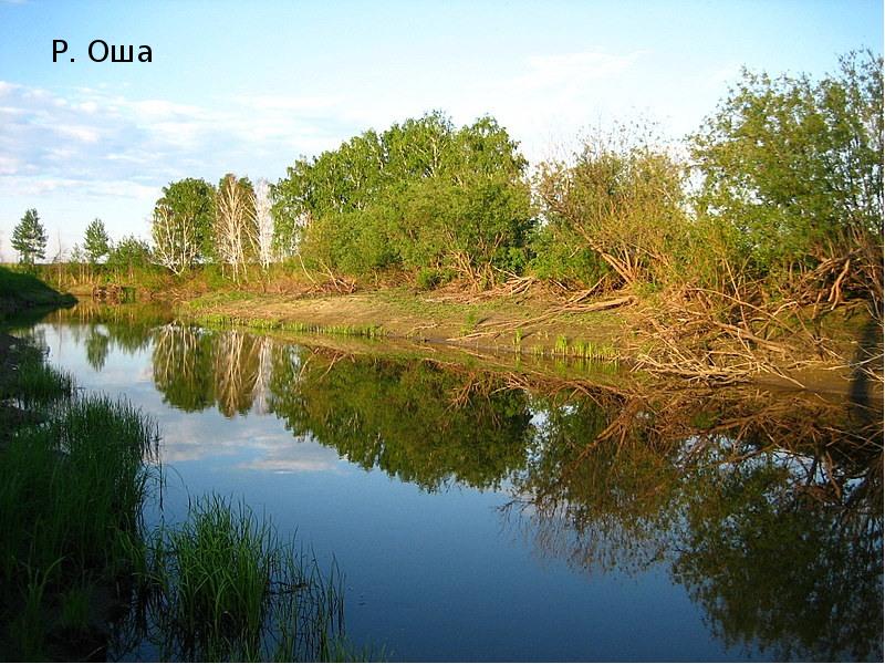 Деревня оша. Оша река Омск. Река Оша Колосовка.