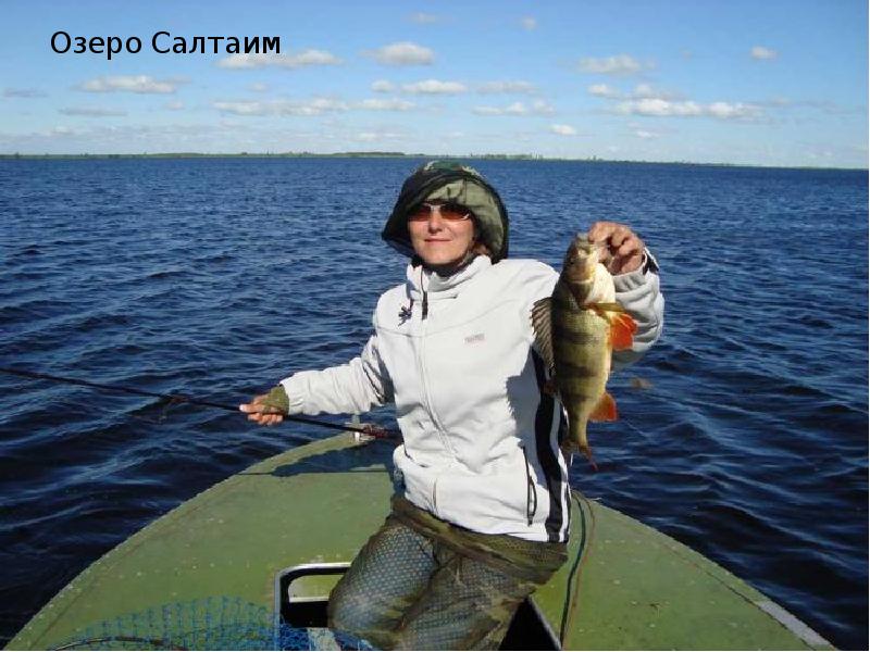 Озеро салтаим омская. Озеро Салтаим Омская область. Рбалкаомскеозеросалтаим. Рыбалка на озере тенис Новосибирской области. Теннис озеро Новосибирская.