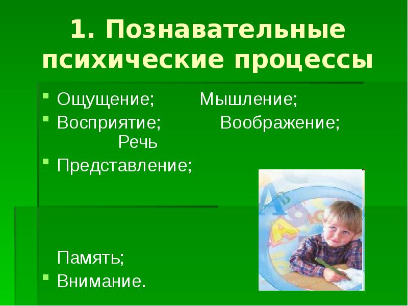 Заполните схемы восприятие объективное память представление память воображение