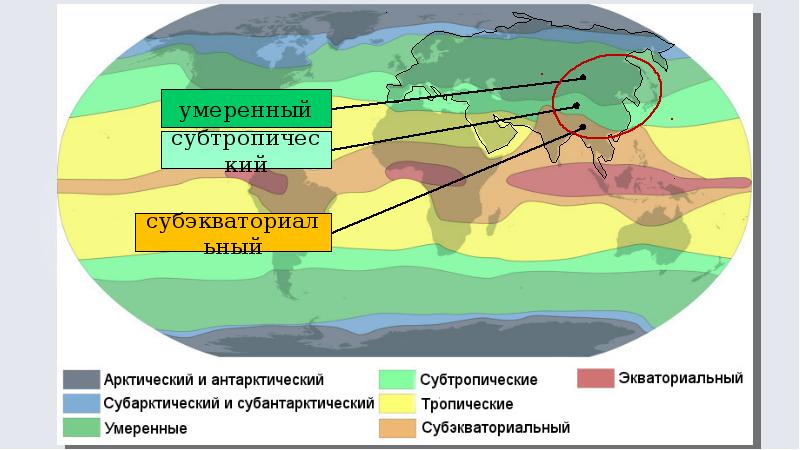 Расставьте подписи на изображении субэкваториальный субтропический субарктический субантарктический