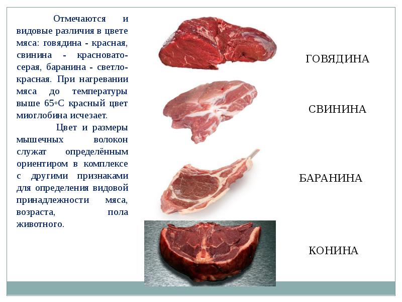 Пироги с мясом хим состав