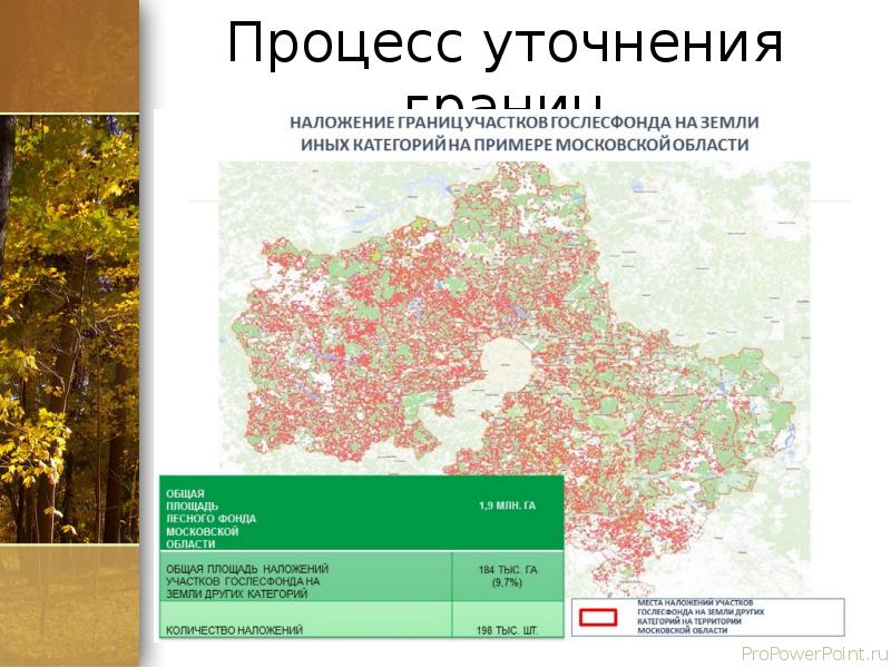 Состав государственного лесного фонда