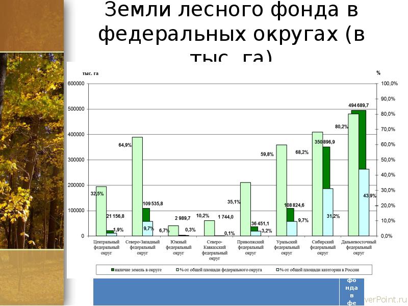 Взять аренду лесного фонда