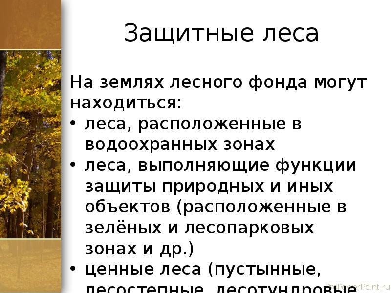 Понятие и состав земель лесного фонда презентация