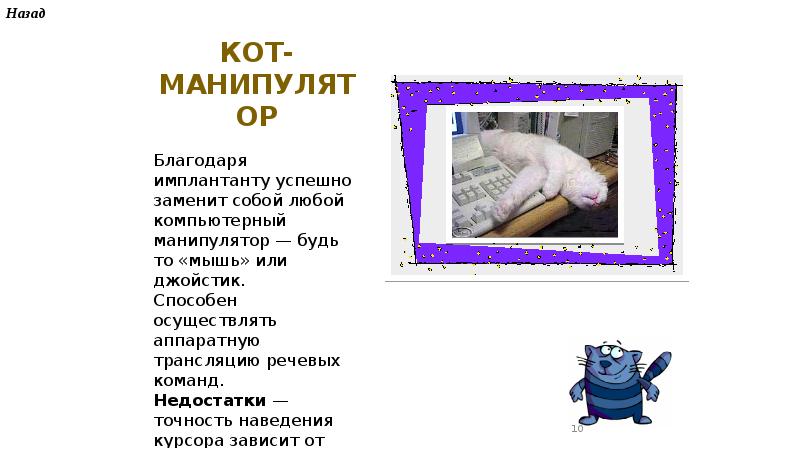 Презентация сам