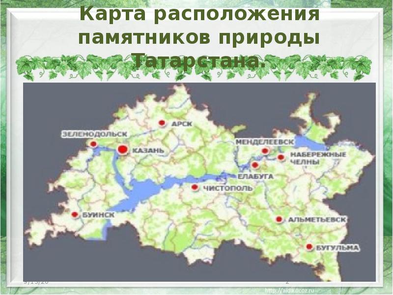 Республика татарстан в какой природной зоне