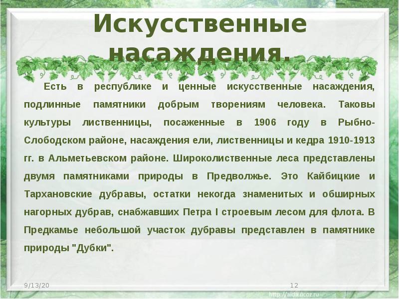 Искусственные насаждения. Есть в республике и ценные искусственные насаждения, подлинные памятники