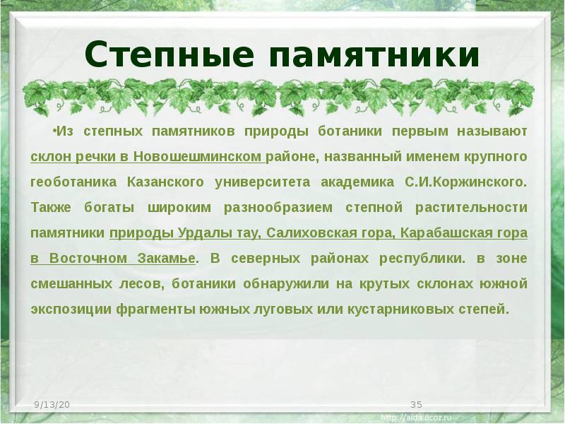 Степные памятники Из степных памятников природы ботаники первым называют склон речки