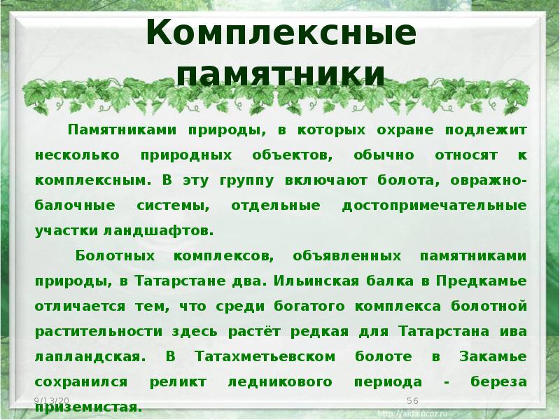 Комплексные памятники Памятниками природы, в которых охране подлежит несколько