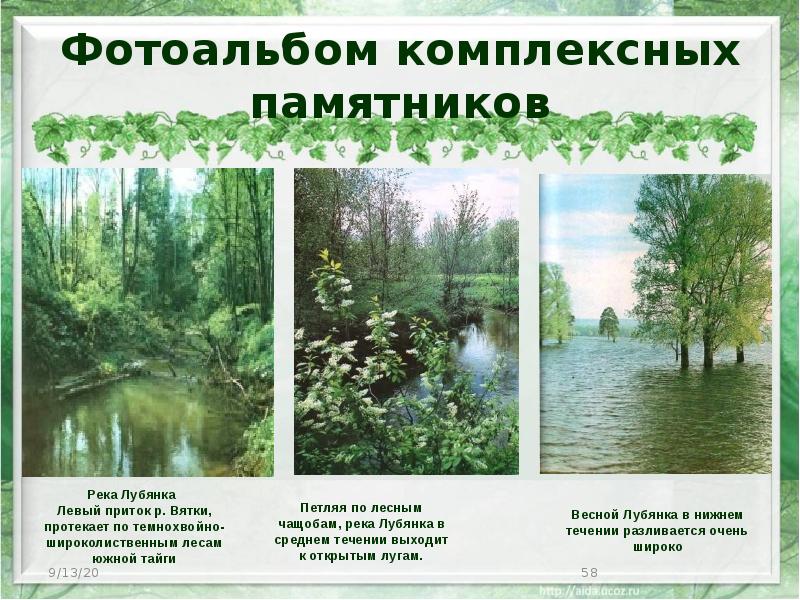 Фотоальбом комплексных памятников