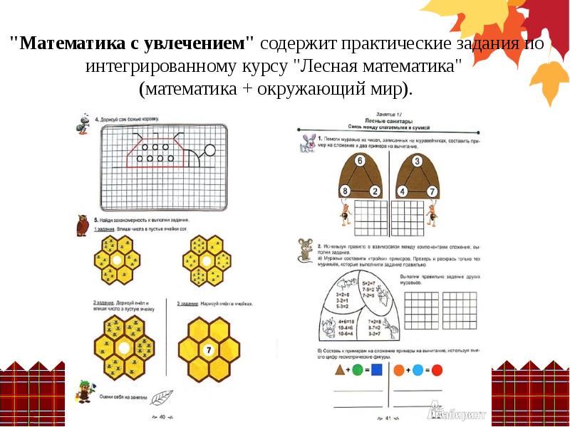 Математика в лесу задачи