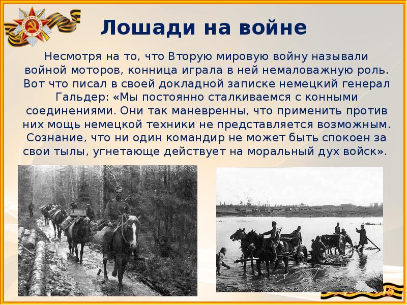 Презентация животные на войне 1941 1945 для детей