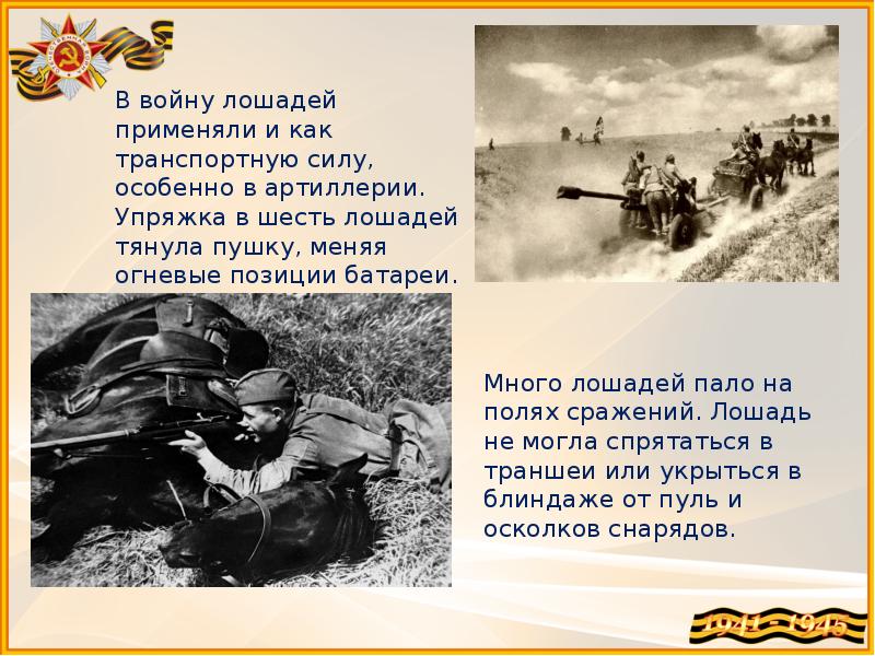 Собаки на войне 1941 1945 презентация