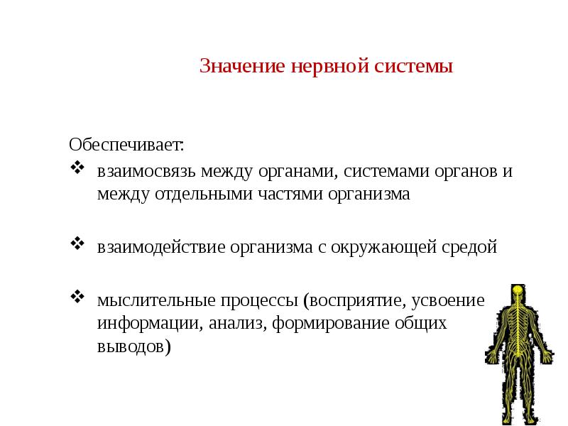 Рассказ о нервной системе. Значение нервной системы. Значение нервнойиситеиы. Сообщение значение нервной системы. Сообщение значение нервной системы.