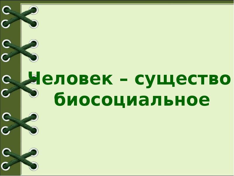 Человек как биосоциальное существо