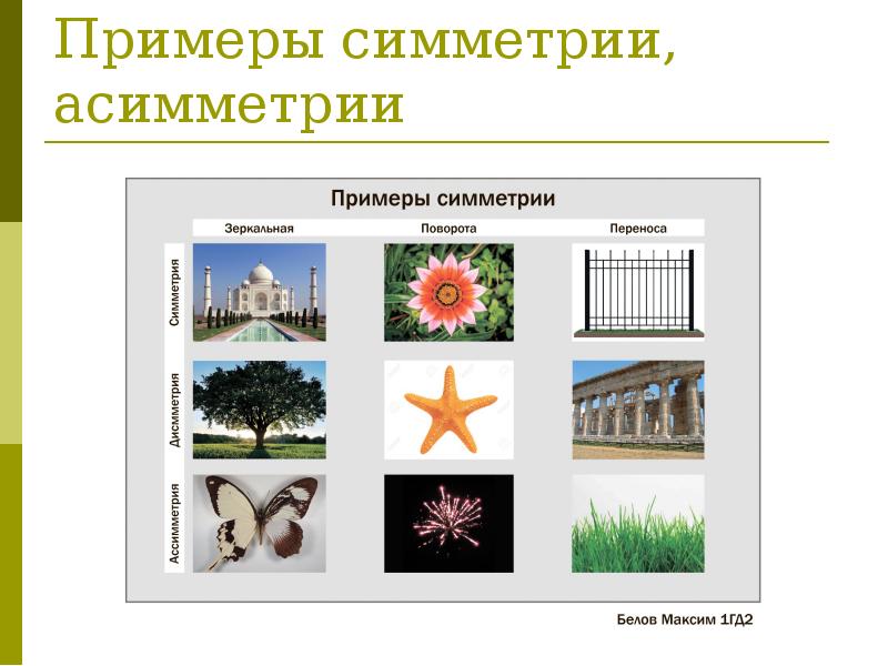 Симметрия образов. Примеры примеры ассисимметрии. Симметрия и асимметрия в природе. Примеры симметрии и асимметрии. Симметричная композиция в природе.