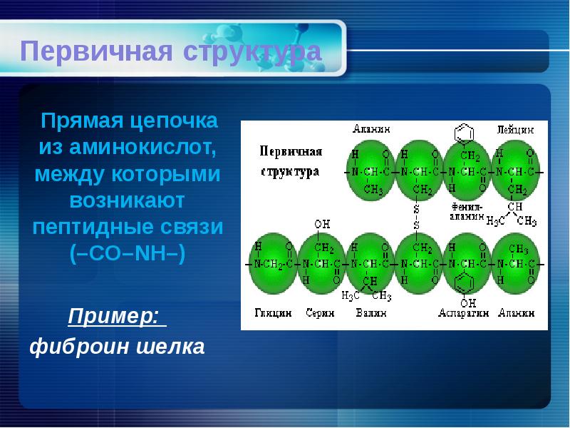 Расстояние между аминокислотами. Фиброин шелка структура. Цепочка из аминокислот. Фиброин шелка структура белка. Первичная структура эт.