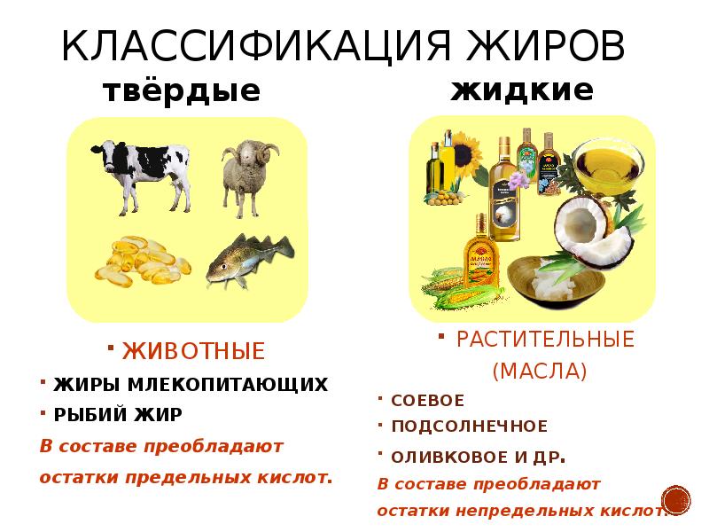 Презентация классификация жиров