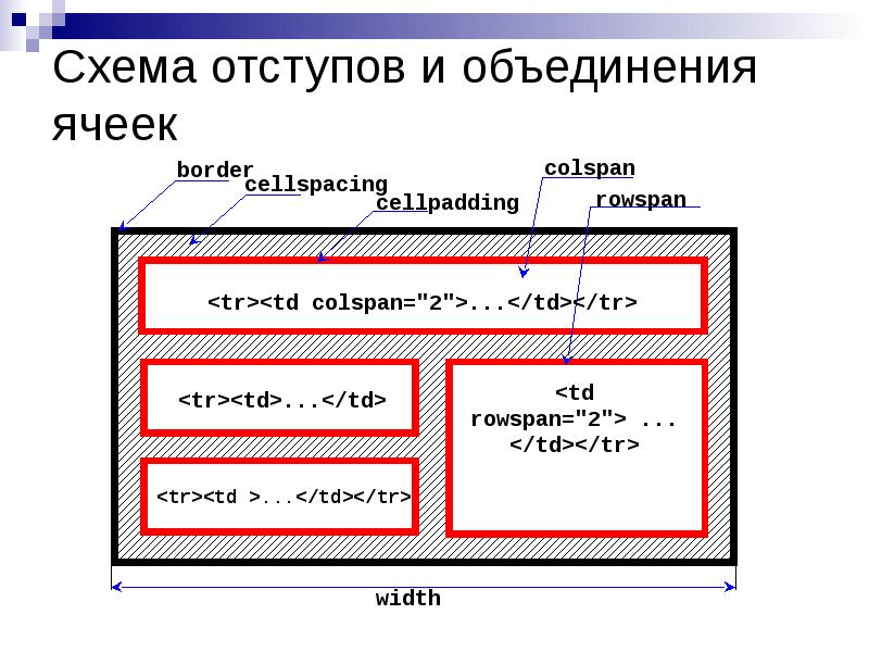 Основы HTML и CSS Списки и таблицы
