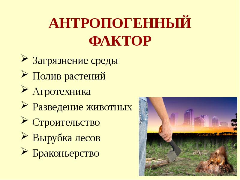 Презентация антропогенные факторы среды