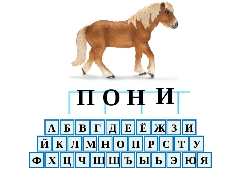 5 букв п е. Жукова буква п. Слова в биологии на букву п.