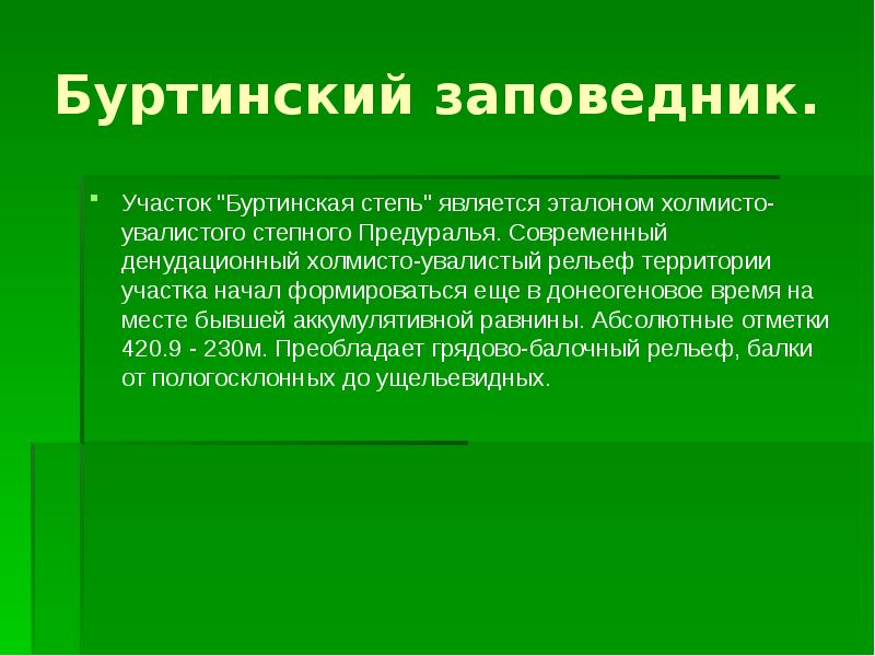 Заповедник это участки. Оренбургский заповедник Буртинская степь. Буртинская степь сообщение. Сообщение о заповеднике Буртинская степь. Доклад Буртинская степь.