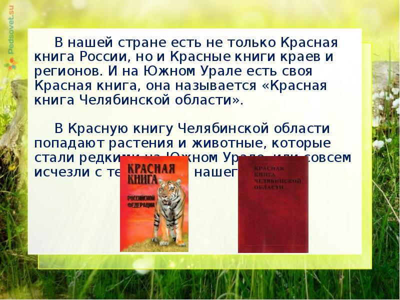 Красная книга урала презентация