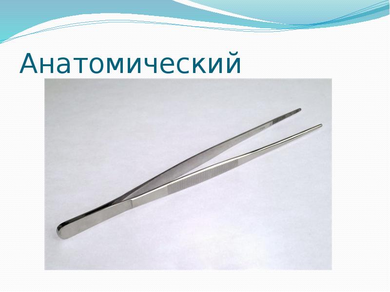 Анатомический